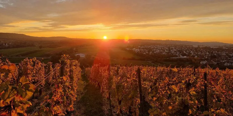 Sonnenuntergang über den Weinbergen am Ketzersberg, im Tal die Orte des Weinsberger Tals